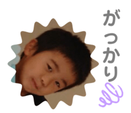 306847951