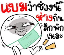 306855619