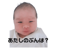 306868151