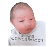 306868153