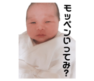 306868154