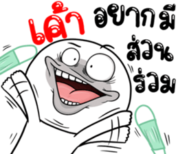 306884681