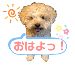 306924407