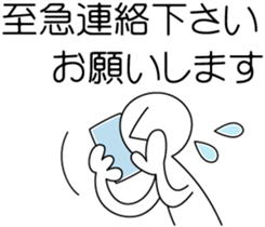 3069981