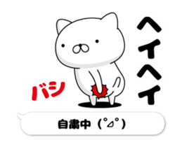 307063581