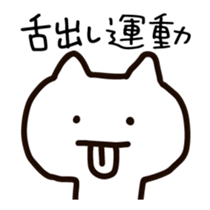 307165564