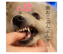 307263357