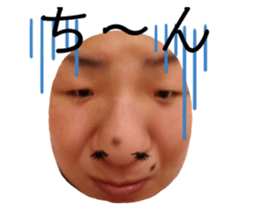 307302552