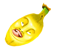 307342244