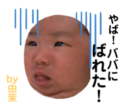 307342453