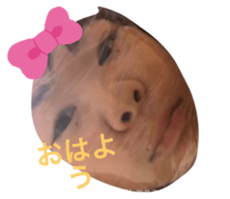 307345783