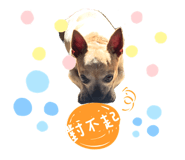 307372761