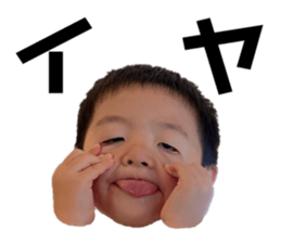 307383016