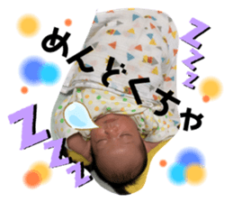 307403638