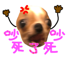 30742050