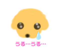 307448941