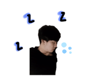 307493617