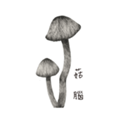 307650085