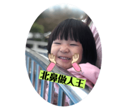 307654804