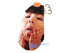 307654816