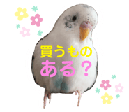 307674850