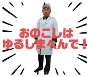 307745848