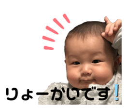 307755697