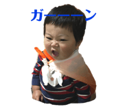 307790243