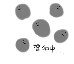 307852774