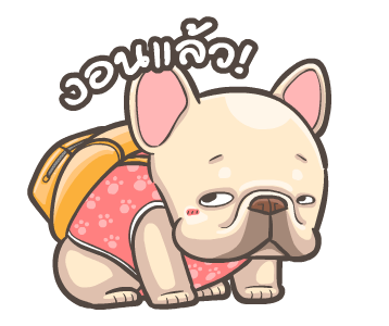 พิกุ & มีพัง หมาแมวเพื่อนรัก รูปที่ 12