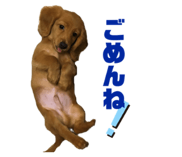 307983986
