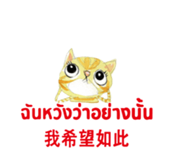 308007088