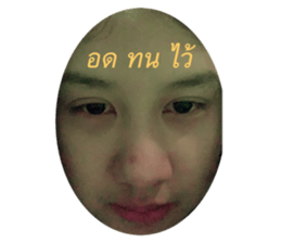 308014872