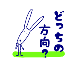 3080256