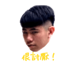 308031035