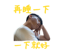 308031037