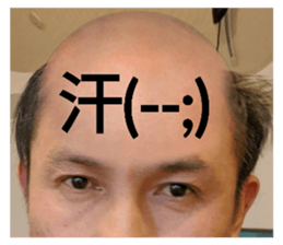308031673