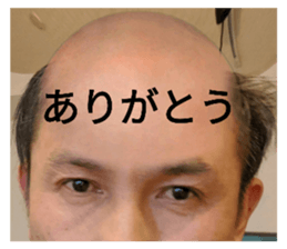308031676