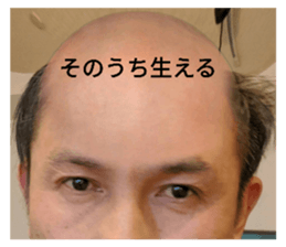 308031677