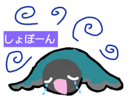308032026