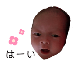 308033994
