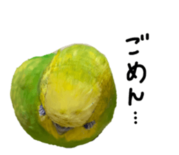308041537