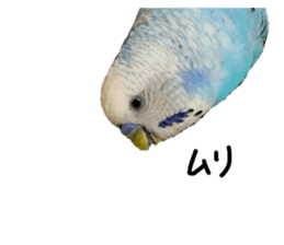 308041546