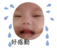 308061371