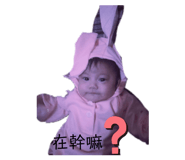 308061372