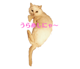 308070366