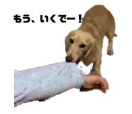 308079115