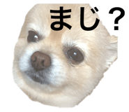 308153854