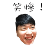 308156510