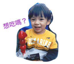 30816446